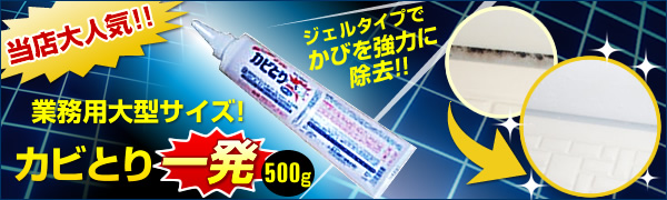 カビとり一発　５００ｇ　業務用大型サイズ　カビ除去剤