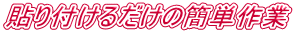 �\��t���邾���̊ȒP��� 