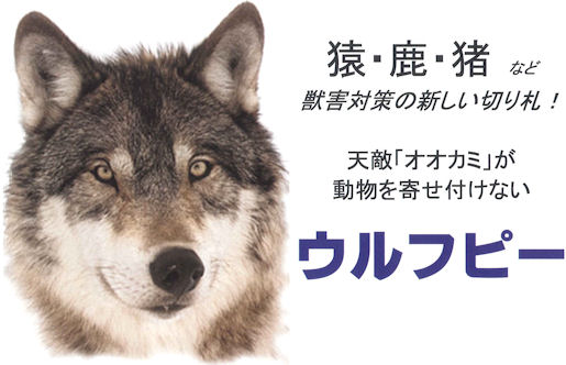 ウルフピーの通信販売｜猿、鹿、猪など獣害対策の新しい切り札！天敵「オオカミ」が動物を寄せ付けない！ウルフピーの通信販売｜シカ、クマ、イノシシ、サルなど、多くの哺乳類の天敵である狼の尿１００％の動物除けです。天敵に対する忌避行動を利用した商品ですので、ニオイに慣れにくいのが特徴です。動物プロテクション・ウルフピーの通信販売｜サル・シカ・イノシシを寄せ付けない！忌避剤・ウルフピー（液体）の通信販売