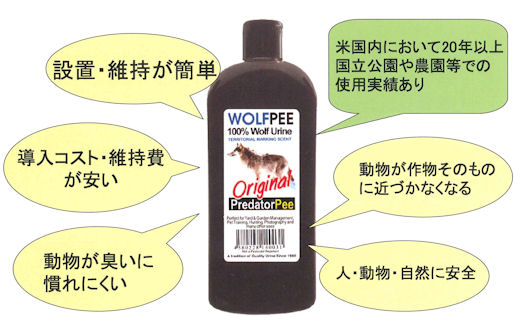 鹿（シカ）、熊（クマ）、猪（イノシシ）、猿（サル）など、多くの哺乳類の天敵である狼（オオカミ）の尿１００％の動物避けオオカミの尿１００％の動物忌避剤ウルフピーの通信販売：テクノ株式会社製品名：ウルフピー 有効成分：オオカミ尿  内容量：１本（３４０ｍｌ）剤型：液状 販売元：有限会社エイアイ企画 対象害獣：猿（サル）、鹿（シカ）、猪（イノシシ）など対象場所：畑、水田、高速道路などアメリカ国内においては、２０年以上の国立公園や農園などでの使用実績があります！そして、平成２２年にＪＡＳ有機適合資材として認められました！ 猿鹿猪など獣害対策の新しい切り札！天敵オオカミが動物を寄せ付けない！ウルフピーオオカミの尿100%の動物忌避剤ウルフピーとは？シカ、クマ、イノシシ、サルなど多くの哺乳類の天敵である狼の尿100%の動物避けです。天敵に対する忌避行動を利用した商品ですのでニオイに慣れにくいのが特徴です。オオカミの尿100%の動物忌避剤ウルフピーは小分け容器に入れて作物や道路の周囲にぶらさげるだけなのでほとんどの人に簡単、初期、維持費用が安く導入できます。狼の尿だけを使用し添加物などを一切使用していない動物、自然に優しい天然の動物プロテクションです。オオカミの尿100%の動物忌避剤ウルフピーはこれまでと全く違う新しい「動物よけ」です。サル、イノシシ、シカなど獣害をもたらす動物に対する既存の電気柵、ネット、入口忌避剤等は設置に費用と手間がかかる、動物が慣れてしまい効果がなくなる等の問題点がありましたがオオカミの尿100%の動物忌避剤ウルフピーは小分け容器に入れて作物の周囲にぶらさげるだけなのでこれまでにない高い効果と簡単・安価な設置・維持ができます。オオカミの尿100%の動物忌避剤ウルフピーは高齢の方や女性にも設置が簡単！オオカミの尿100%の動物忌避剤ウルフピーは液体が乾燥したら注ぎ足すだけなのでい日が容易です。オオカミの尿100%の動物忌避剤ウルフピーは１か所あたりわずかな量で高い効果を発揮するため優れた費用対策効果が期待できます。写真、長野県りんご園で設置中のオオカミの尿100%の動物忌避剤ウルフピー。小分け容器に入れて既存の柵にひっかけて使っています。自然を汚染したり動物を傷つけたりすることなく効果的に動物被害対策ができます。もちろん環境を損なうことなく人に安全にお取り扱い頂けます。天然狼尿100%なので臭いに慣れやすい猿は「天敵に対する学習効果」が高いため特に高い効果が実証されています。オオカミの尿100%の動物忌避剤ウルフピーは設置・維持が簡単！オオカミの尿100%の動物忌避剤ウルフピーは導入コスト・維持費が安い！オオカミの尿100%の動物忌避剤ウルフピーは動物が臭いに慣れにくい。オオカミの尿100%の動物忌避剤ウルフピーは米国内において20年以上国立公園や農園等での使用実績あり。オオカミの尿100%の動物忌避剤ウルフピーは動物が作物そのものに近づかなる。オオカミの尿100%の動物忌避剤ウルフピーは人動物自然に安全。オオカミの尿100%の動物忌避剤ウルフピーは小分け用意に入れてウルフピーを動物から保護したい場所を囲むように設置、または獣道をブロックするように設置します。オオカミの尿100%の動物忌避剤ウルフピーの使い方、イノシシ、サル、シカ、クマなどの大型動物は約6mごとに設置。タヌキ、キツネ、ハクビシンなどの小型動物は約4mごとに設置。動物の特に侵入しやすい箇所に間隔を狭くすることより効果的です。小分け容器（約30〜50ml程度）に充填した場合、約一か月で蒸発するので蒸発したら適宜注ぎ足すことによって引き続きご使用頂けます。オオカミの尿100%の動物忌避剤ウルフピーは雨などで薄まると効果も薄まりますので薄くなった場合は廃棄して新しいウルフピーを注ぎ足して下さい。オオカミの尿100%の動物忌避剤ウルフピーは設置・維持・撤収が簡単なので被害の多発する収穫前だけの設置でも簡単にご利用いただけます。オオカミの尿100%の動物忌避剤ウルフピーの設置例、レタス鹿、水稲猪猿、高速道路猿鹿、鹿（シカ）、熊（クマ）、猪（イノシシ）、猿（サル）など、多くの哺乳類の天敵である狼（オオカミ）の尿１００％の動物避けオオカミの尿１００％の動物忌避剤ウルフピーの通信販売：テクノ株式会社