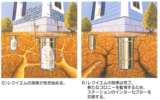 シロアリベイト工法は薬をほとんど使わない最も斬新な確信技術で人と環境に優しいシロアリ防除工法、シロアリの巣をまるごと退治！薬剤の絶対量が少ない！建物に直接薬剤を処理しない！エクステラステーション、毒餌ベイト剤レクイエム、餌木インターセプター、ステーションAGSの通信販売：テクノ株式会社製品名：エクステラステーションセット、内容量：ベイトケース１５個、餌木９０枚、専用キー、有効範囲：外周４５ｍ程度（３０～４０坪、販売元：エンシステックス・ジャパン有限会社、ベイト工法は薬をほとんど使わない最も斬新な革新技術で人と環境に優しいシロアリ防除工法、維持管理型ベイト工法は建物を長期的に維持管理する為にベイト工法を高度にシステム化しました。シロアリは加害している建物だけでなく建物周辺のテリトリーの中で地中に「蟻道」というトンネルの道を造って盛んに餌を探し回っています。そこで建物周辺の地面にシロアリが好む餌を入れた容器を埋めておくと餌を探しているシロアリがその容器にたどり着き容器の中の餌を食べ始めます。この時に殺蟻剤（レクイエム）を混入したシロアリが好む餌を投与すると、シロアリはその餌を食べ始め、シロアリは巣ごと全滅します。全滅した後もシロアリの集団の新たな侵入に備えて殺蟻剤を混入しない餌を仕掛けて監視します。エクステラステーションセットについて。エクステラステーションセットには本体１５個、餌木９０枚、本体のフタを開ける専用キーが付属します。エクステラステ－ション１個につき餌木（インターセプター）６枚が入ります。エクステラステーションセットにはベイト剤（レクイエム）は付属致しません。エクステラステーションを埋設する際の穴径はφ１００～１１０ｍｍ、深さ３００ｍｍ必要です。埋設間隔は建物から５０ｃｍ（最大３ｍまで）、ステーションの間隔は３ｍ（最大５ｍまで）となります。ベイト剤（レクイエム）について。ベイト剤（レクイエム）は粉剤で２ｋｇ入りとなります。水と混ぜて使用致します。標準混合比率はレクシエム５００ｃｃ（約１１０ｇ）に対して水５００～６００ｃｃとなります。日本に多く生息するヤマトシロアリ、イエシロアリなどはは水が無いと生きていきません。（アメリカカンザイなどは除く）レクイエムは水と調合して使用するので水を必要とするシロアリの食いつきが良くしっかり駆除出来ます。自分で出来るシロアリ駆除の決定版ともいえるベイト工法エクステラをお試し下さい。ステーションにシロアリがついた場合に使用して下さい。家屋内のシロアリにも直接使用して下さい。シロアリセンサーにシロアリが付いた場合にも使用出来ます。餌木（インターセプター）について。餌木（インターセプター）は１年に一度の交換をオススメ致します。別途販売の交換用の餌木（インターセプター）は１箱は３００枚入りとなります。シロアリベイト工法は薬をほとんど使わない最も斬新な確信技術で人と環境に優しいシロアリ防除工法、シロアリの巣をまるごと退治！薬剤の絶対量が少ない！建物に直接薬剤を処理しない！エクステラステーション、毒餌ベイト剤レクイエム、餌木インターセプター、ステーションAGSの通信販売：テクノ株式会社