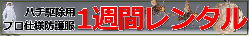 自分で出来る蜂駆除、スズメバチ駆除！ハチ駆除、スズメバチ駆除に使用する防護服のレンタル、貸出【今だけハチアブノッカー5本プレゼント中】蜂駆除用防護服レンタルの通信販売：テクノ株式会社製品名：蜂駆除用防護服レンタル内容：蜂武者もしくはハチブロックの防護服一式（長靴含む／サイズ２６・２７・２８ｃｍ）、ハチアブノッカー５本（予告なく変更になる場合があります。）レンタル日数：七泊八日（お届けまでに中１～２日かかる場合はその日数は含みません。）スズメバチ駆除、アシナガバチ駆除、ミツバチ駆除、自分で出来る蜂退治、蜂駆除、蜂武者、ハチブロック、レンタル、貸出、リース自分で出来る蜂駆除、スズメバチ駆除！ハチ駆除、スズメバチ駆除に使用する防護服のレンタル、貸出【今だけハチアブノッカー5本プレゼント中】蜂駆除用防護服レンタルの通信販売：テクノ株式会社製品名：蜂駆除用防護服レンタル内容：蜂武者もしくはハチブロックの防護服一式（長靴含む／サイズ２６・２７・２８ｃｍ）、ハチアブノッカー５本（予告なく変更になる場合があります。）レンタル日数：七泊八日（お届けまでに中１～２日かかる場合はその日数は含みません。）スズメバチ駆除、アシナガバチ駆除、ミツバチ駆除、自分で出来る蜂退治、蜂駆除、蜂武者、ハチブロック、レンタル、貸出、リース自分で出来る蜂駆除、スズメバチ駆除！ハチ駆除、スズメバチ駆除に使用する防護服のレンタル、貸出【今だけハチアブノッカー5本プレゼント中】蜂駆除用防護服レンタルの通信販売：テクノ株式会社製品名：蜂駆除用防護服レンタル内容：蜂武者もしくはハチブロックの防護服一式（長靴含む／サイズ２６・２７・２８ｃｍ）、ハチアブノッカー５本（予告なく変更になる場合があります。）レンタル日数：七泊八日（お届けまでに中１～２日かかる場合はその日数は含みません。）スズメバチ駆除、アシナガバチ駆除、ミツバチ駆除、自分で出来る蜂退治、蜂駆除、蜂武者、ハチブロック、レンタル、貸出、リース自分で出来る蜂駆除、スズメバチ駆除！ハチ駆除、スズメバチ駆除に使用する防護服のレンタル、貸出【今だけハチアブノッカー5本プレゼント中】蜂駆除用防護服レンタルの通信販売：テクノ株式会社製品名：蜂駆除用防護服レンタル内容：蜂武者もしくはハチブロックの防護服一式（長靴含む／サイズ２６・２７・２８ｃｍ）、ハチアブノッカー５本（予告なく変更になる場合があります。）レンタル日数：七泊八日（お届けまでに中１～２日かかる場合はその日数は含みません。）スズメバチ駆除、アシナガバチ駆除、ミツバチ駆除、自分で出来る蜂退治、蜂駆除、蜂武者、ハチブロック、レンタル、貸出、リース自分で出来る蜂駆除、スズメバチ駆除！ハチ駆除、スズメバチ駆除に使用する防護服のレンタル、貸出【今だけハチアブノッカー5本プレゼント中】蜂駆除用防護服レンタルの通信販売：テクノ株式会社製品名：蜂駆除用防護服レンタル内容：蜂武者もしくはハチブロックの防護服一式（長靴含む／サイズ２６・２７・２８ｃｍ）、ハチアブノッカー５本（予告なく変更になる場合があります。）レンタル日数：七泊八日（お届けまでに中１～２日かかる場合はその日数は含みません。）スズメバチ駆除、アシナガバチ駆除、ミツバチ駆除、自分で出来る蜂退治、蜂駆除、蜂武者、ハチブロック、レンタル、貸出、リース