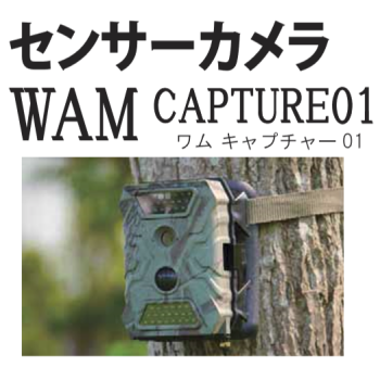 野生動物の調査 対策に 野生動物のさまざまな調査用として 赤外線センサーカメラワムキャプチャー01wam Capture01の通信販売 テクノ株式会社