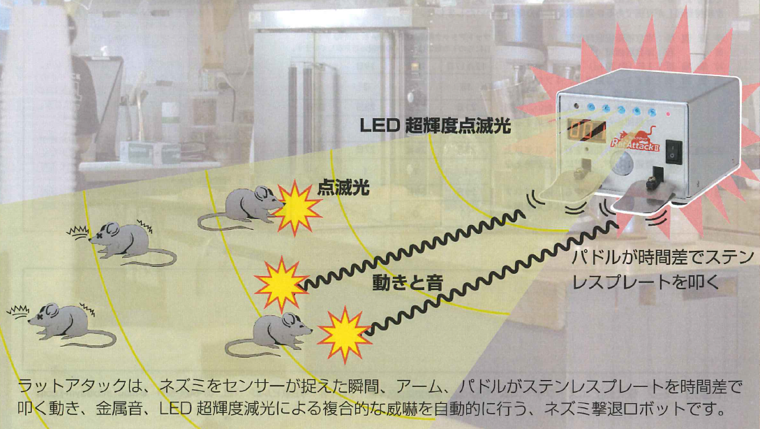 ネズミ（小害獣）用撃退ロボットRatAttack2RAS-02シリーズ!センサーがネズミを捉えた瞬間光と音と動きで繰り返しストレスを与え続け、ネズミに大事な商品や食材に近づけさせません！！ラットアタック2の通信販売：テクノ株式会社商品名：ラットアタック2重量：430g電源：アルカリ乾電池（単二形）×4本サイズ：縦１８０×横１３２×高さ９５ｍｍ製造元：株式会社エス・ワイ・エムラットアタック2はネズミをセンサーが捉えた瞬間、アーム、パドルがステンレスプレートを時間差で叩く動きと金属音、LED超輝度減光による複合的な威嚇を自動的に行うネズミ撃退ロボットです。※ネズミを捕獲したい場合は同時にネズミ粘着板を設置する事で捕獲率があがります。光・・・LED超輝度点滅光しネズミを威嚇！金属音、動き・・・パドルが時間差でステンレスプレートを叩き威嚇！ネズミを大事な商品、食材・厨房に近づけさせない。電池式だから　天井裏等どこでも簡単に設置可能です。ネズミを威嚇して追い出すため死骸がでにくくネズミの死臭に困ることがありません。ネズミが学習しにくいので長期的に使用が可能です。【センサー感知範囲】直進約３ｍ、左右約５０度、上下約３０度【作動時間】６～１０秒間（連続不可）【LED照度】１～１００LUX（連続不可）【モーター電圧】１～６V（連続不可）【カウンター威嚇回数表示】最大９９９回【バッテリーパワー】赤色LED点滅表示【構造】非防水　　【保証期間】購入後6か月夜、ネズミがよく出る場補に電池を入れたラットアタック2を設置し電源を入れる。カウンターのリセットボタンを押し、表示を０にする。部屋の照明を消す。暗くならないとセンサーが働きませんので必ず消灯して下さい。※ネズミを捕獲したい場合は同時にネズミ粘着板を設置する事で捕獲率があがります。 ネズミ感知センサーがネズミを捉えると「パドルがステンレスプレートを叩き、LEDライトが点滅」といった威嚇稼働を約７秒間自動的に開始します。ネズミが感知センサーの範囲外に逃げ出せば自動停止。またセンサー範囲内に居座れば継続して威嚇します。朝、稼働カウンターを確認し電源をOFFにして片付ける。以上をネズミの被害状況に応じて繰り返して下さい。【使用のポイント】ネズミの被害状況に応じて上記の作業を毎晩繰り返し行って下さい。防除効果はネズミの棲息数および環境等により異なります。ラットアタック2はストレスを与える事による防除方法ですがネズミによってはストレスが限界に達するまでの期間が異なります。連続して使用することにより約１～２週間ほどで効果が現れてきます。ラットアタック2を使用する前に、できるだけ厨房内の残飯処理をお願いします。ラットアタック2を複数使用する場合、互いに感知しないように感知範囲（中心角約50度、半径約3m）以外に設置して下さい。互いのセンサーが感知し合うと稼働し続け停止しなくなります。【効果検証結果】店舗責任者様への聞き取り調査では、実施前は足音とネズミが足下を横切ることがたびたびあったが、ラットアタック設置後は足音は無くなり、ネズミも見かけなくなった。ラットアタックの効果により、足音もなくなりネズミも見かけなくなった為、ラットアタックの設置を取りやめてしまったところ、約一か月後にはまた足音がし始め、ネズミも見かけるようになり、元の状態に戻ってしまったと報告されています。※追記効果検証を行った店舗はネズミの生息密度が高い雑居ビル内のため、ネズミの被害がなくなっても外部よりネズミが迷い込んでくる可能性があります。今後ネズミの低密度維持管理を行うには状況に応じて定期的なラットアタック2の使用が必要になります。ネズミ（小害獣）用撃退ロボットRatAttack2RAS-02シリーズ!センサーがネズミを捉えた瞬間光と音と動きで繰り返しストレスを与え続け、ネズミに大事な商品や食材に近づけさせません！！ラットアタック2の通信販売：テクノ株式会社