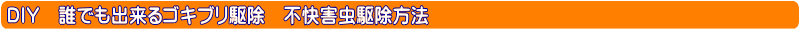 あなたもコレで害虫駆除が出来る！ＤＩＹ自分で出来るゴキブリ駆除方法・不快害虫駆除方法【ゴキブリ駆除方法・不快害虫駆除害虫方法、ゴキブリ退治に使用する薬剤、ベイト剤、エアゾール、捕獲器、機器などのご紹介！！！】