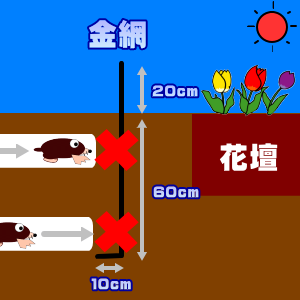 ＤＩＹ自分で出来るモグラ駆除・モグラ退治の方法の紹介【モグラ駆除、モグラ退治に使用する忌避剤、捕獲器、などのご紹介！！！】花壇や家庭菜園などの範囲が限定される場合は金網などで被害箇所を囲ってしまえばモグラの侵入はなくなりますので被害にあいません。網目１ｃｍ程度の金網を深さ６０ｃｍ程度まで埋めて下さい。この際に下部１０ｃｍ程度は外側に向けて直角に曲げて、上部は地中から２０ｃｍ程度出しておいて下さい。または液体タイプで使いやすく天然素材１００％使用し臭いのバリヤーでモグラを寄せ付けないモグラ忌避液の逃げまんねんを２ｍ程度の間隔で散布して下さい。一度まくと約２ヶ月間有効です。短時間に大量の雨が降ると流れてしまい効果がなくなりますので、再度同じ方法で散布して下さい。