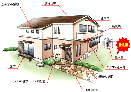 ねずみの侵入口はこんな所だ！ＤＩＹ自分で出来るねずみ駆除・ねずみ退治の方法の紹介　【ねずみ駆除、ねずみ退治に使用する薬剤、防鼠材などのご紹介！！！】ＤＩＹ自分で出来るねずみ駆除・ねずみ退治【ねずみ駆除、ねずみ退治に使用する薬剤、防鼠材などのご紹介！！！】一般家庭のネズミの侵入経路の紹介【通気口、換気扇、配水管、エアコンの導入部、基礎の隙間、扉の隙間、床下の排水、トイレの配管、床下、庇の下の隙間】ねずみ駆除方法｜ＤＩＹ自分で出来るねずみ駆除・ねずみ退治の方法、流れ　【ねずみ駆除、ねずみ退治に使用する薬剤、防鼠材などのご紹介！！！】飲食店、店舗のねずみの侵入口はこんな所だ！換気扇、通気口、エアコン導入部、エアコンの排水口、戸の隙間、入口、玄関、壊れた壁、床下排管口、壊れた床下収納庫