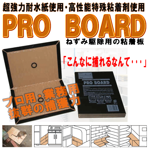 業務用ねずみ粘着板！超強耐水紙使用・高性能特殊粘着剤使用！ＰＲＯＢＯＡＲＤ｜業務用ねずみ粘着板！超強耐水紙使用・高性能特殊粘着剤使用！汚れの目立たない外面黒台紙使用！台紙に注意書き（ＰＬ法対応）を印刷（日本語・英語）スリット入りで様々な設置箇所に対応できます。粘着剤は波状塗布なので捕獲率ＵＰ！ねずみ粘着板での捕獲は効果絶大です。側面に沿って縦横交互に間隔をおかずに詰めて一箇所に３～５枚を目安に（多いほど効果的）ネズミの出入り口、かじられた所、糞のある所に設置します。水気・油気・ホコリの多いところにはねずみ粘着板の下に新聞紙を敷きます。ホコリが一面に付着した時は、粘着面を合わせて開ければ元通りの粘着力に復活します。ホコリなどの汚れが多い現場にはトラップカバーやトラップボックスとの併用がオススメ！ネズミは非常に警戒心が強いため粘着シートを設置後は電気を消して下さい。粘着シートに明かりが反射しないように出来るだけ暗くしてください。業務用ねずみ粘着板！超強耐水紙使用・高性能特殊粘着剤使用！ＰＲＯＢＯＡＲＤ｜ＤＩＹ自分で出来るねずみ駆除・ねずみ退治の方法の紹介【ねずみ駆除、ねずみ退治に使用する薬剤、防鼠材などのご紹介！！！】