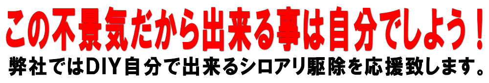 動力噴霧機のレンタル・貸し出し！ＤＩＹ自分で出来るシロアリ駆除！シロアリ駆除の方法から必要な機材をすべてセットにしました！動力噴霧機レンタル、ＤＩＹ自分で出来るシロアリ駆除：廊下や部屋などを歩くと床がきしむ、沈むなどありませんか？他には羽アリが出たなどありませんか？シロアリ被害はシロアリの発生を確認してからでは、すでに家屋の木材が加害されております。早い対応が自分の家を守ります！ＤＩＹ自分で出来るシロアリ駆除の方法：廊下や部屋などを歩くと床がきしむ、沈むなどありませんか？他には羽アリが出たなどありませんか？シロアリ被害はシロアリの発生を確認してからでは、すでに家屋の木材が加害されております。早い対応が自分の家を守ります！シロアリ駆除方法！ＤＩＹ自分で出来るシロアリ駆除！シロアリ駆除の方法から必要な機材をすべてセットにしました！ご自宅のシロアリ駆除する場合に必要な動力噴霧機からマスクまですべて揃ったレンタルセットです。自分で出来るシロアリ駆除方法、白蟻駆除方法、白あり駆除方法、業務用シロアリ駆除薬剤の販売、シロアリの被害を床上から見て確認出来るケースは極まれです。皆さんの知らない所でゆっくりですが確実に財産を（家の木材部分）を食い尽くしていきます。そのまま放っておくと木材部分を食べつくされ手遅れになります。ＤＩＹ自分で出来るシロアリ駆除！シロアリ駆除の方法から必要な機材をすべてセットにしました！自分で出来るシロアリ駆除・駆除の方法！羽蟻が出た！シロアリが出た！そんな時は！動力噴霧機のレンタル・貸し出しＤＩＹ自分で出来るシロアリ駆除！シロアリ駆除の方法から必要な機材をすべてセットにしました！白蟻駆除の方法・シロアリ駆除の方法、シロアリ駆除をやってみよう！と思う方は是非一度お問い合わせ下さい！ＤＩＹ自分で出来るシロアリ駆除！シロアリ駆除の方法から必要な機材をすべてセットにしました！一般のお客様、工務店様、大工さん、便利屋さん、などに最適