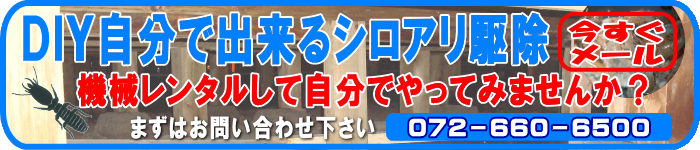 動力噴霧機のレンタル・貸し出し！ＤＩＹ自分で出来るシロアリ駆除！シロアリ駆除の方法から必要な機材をすべてセットにしました！動力噴霧機レンタル、ＤＩＹ自分で出来るシロアリ駆除：廊下や部屋などを歩くと床がきしむ、沈むなどありませんか？他には羽アリが出たなどありませんか？シロアリ被害はシロアリの発生を確認してからでは、すでに家屋の木材が加害されております。早い対応が自分の家を守ります！ＤＩＹ自分で出来るシロアリ駆除の方法：廊下や部屋などを歩くと床がきしむ、沈むなどありませんか？他には羽アリが出たなどありませんか？シロアリ被害はシロアリの発生を確認してからでは、すでに家屋の木材が加害されております。早い対応が自分の家を守ります！シロアリ駆除方法！ＤＩＹ自分で出来るシロアリ駆除！シロアリ駆除の方法から必要な機材をすべてセットにしました！ご自宅のシロアリ駆除する場合に必要な動力噴霧機からマスクまですべて揃ったレンタルセットです。自分で出来るシロアリ駆除方法、白蟻駆除方法、白あり駆除方法、業務用シロアリ駆除薬剤の販売、シロアリの被害を床上から見て確認出来るケースは極まれです。皆さんの知らない所でゆっくりですが確実に財産を（家の木材部分）を食い尽くしていきます。そのまま放っておくと木材部分を食べつくされ手遅れになります。ＤＩＹ自分で出来るシロアリ駆除！シロアリ駆除の方法から必要な機材をすべてセットにしました！自分で出来るシロアリ駆除・駆除の方法！羽蟻が出た！シロアリが出た！そんな時は！動力噴霧機のレンタル・貸し出しＤＩＹ自分で出来るシロアリ駆除！シロアリ駆除の方法から必要な機材をすべてセットにしました！白蟻駆除の方法・シロアリ駆除の方法、シロアリ駆除をやってみよう！と思う方は是非一度お問い合わせ下さい！ＤＩＹ自分で出来るシロアリ駆除！シロアリ駆除の方法から必要な機材をすべてセットにしました！一般のお客様、工務店様、大工さん、便利屋さん、などに最適