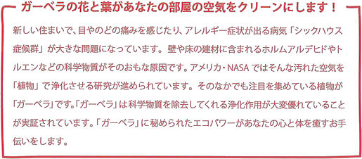 アレルギー症状　シックハウス症候群　