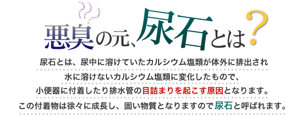 小便器の悪臭・つまりの原因、尿石を強力に除去、エフロにも効果！トイレ洗剤、尿石除去剤、スマートマイルドアシッドELの通信販売：テクノ株式会社、株式会社イーライフ、スマート｜スマートマイルドアシッドによるトイレの洗浄上側が洗浄前の写真です。 便器手前のところに尿石がこびり付いているのが確認できます。 写真で見ていても臭ってきそうです。 下側がスマートマイルドアシッドを使って洗浄した便器の写真です。こびり付いていた尿石が、キレイに無くなっているのが確認できます。スマートマイルドアシッドの特長擦り洗い不要擦り洗いをする必要がありません。本剤を対象にかけてしばらく待ち、水で洗浄するだけで、ヨゴレを除去します。強力な洗浄力トイレの尿石、風呂のスケールを強力に除去します。使用者に優しい医薬用外劇物ではないので安心して使用できます。また、ガスや刺激臭が出ませんので、使用者にとって優しい除去剤です。まず、通常の清掃で尿石以外の汚れを落としてから、水分を出来るだけ取り除いてください。2. 便器の場合は灯油ポンプ等で水を抜き、小便器の場合は先に目皿も取り外してください。　目皿が固まって取れない場合は、マイルドアシッドを少量かけてから外してください。3. マイルドアシッドを便器ひとつにつき 300～500ml入れ、10～20分程度放置してから、十分な水で流してください。水が十分に取り除けていない場合は、少し多めにマイルドアシッドを注いでください。4. 一度で落ちない場合は 1.～ 3.の作業を繰り返すか、本剤が反応中に擦り洗いして下さい。※ NEWスマートマイルドアシッドELは、便器の種類を問わずお使い頂けます。浴室等のスケール除去の方法1. スケールに直接薬液を塗るか、スポンジ等につけてからスケールに塗ってください。　薬液を塗布した後、しばらく時間を置いていただきますとより効果的です。2. 壁など垂直に近く液がすぐにたれてしまう時にはキッチンペーパーなど薬液に含み貼り付けてください。3. しばらくすると反応し泡がでますが匂い等はほとんどしません。4. 反応し終わってもまだスケールが残っている場合は　もう一度薬液を塗りなおしてください。5. 除去できたら水でよく洗い流してください。小便器の悪臭・つまりの原因、尿石を強力に除去、エフロにも効果！トイレ洗剤、尿石除去剤、スマートマイルドアシッドELの通信販売：テクノ株式会社、株式会社イーライフ、スマート