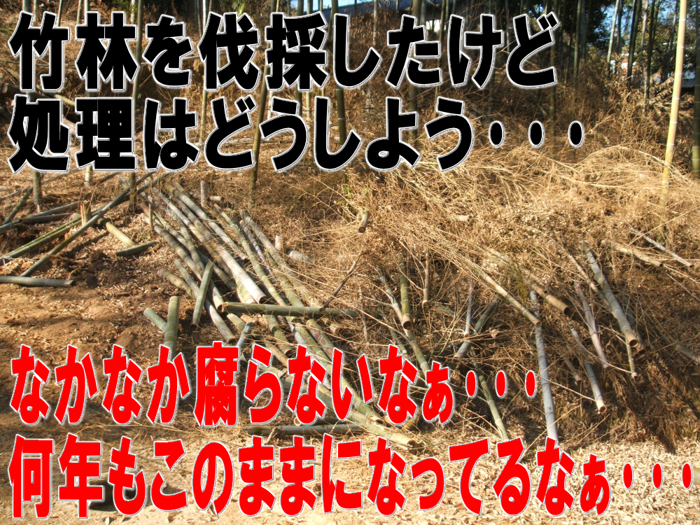 竹林を伐採したいけど処理はどうしよう･･･　なかなか腐らないなぁ･･･　何年もこのままになってるなぁ･･･｜伐採竹・竹林などを微細なチップに粉砕処分！竹チップで再利用｜大阪、京都、滋賀、兵庫、奈良などの伐採竹・竹林・モウソウチクなどの処分、整理はお任せ下さい｜竹の処分に困った｜竹の有効利用｜エコスタイル｜再利用弊社では竹林、伐採竹の処理を行っております。１２０ｍｍまでの竹や木材などを小型木材チッパーを使用して一瞬にして細かなチップに致します。この小型木材チッパーはエンジン式の自走タイプですので竹林の奥まで進んでいき、その場で竹を細かなチップにする事が可能なので竹を運び出す手間が省けます。そのまま竹林に撒けば雑草などの繁殖を抑制し通路の確保が可能です。｜竹チップによる歩道や通路などの綺麗な仕上がり。細かなチップにする事により竹などでは１／１０以下のサイズまで小さくでき、処分や運搬なども容易に行えます。なお、この竹チップは通路などに撒く事により、水はけもよくなり足腰に優しい柔らかく綺麗な通路に変化します。バラスなどを撒いた場合と比べるととても優しく、エコロジーな仕上がりとなります。特に乾燥した竹チップはとても綺麗な色になり独特の風合いとなります。｜テクノ株式会社