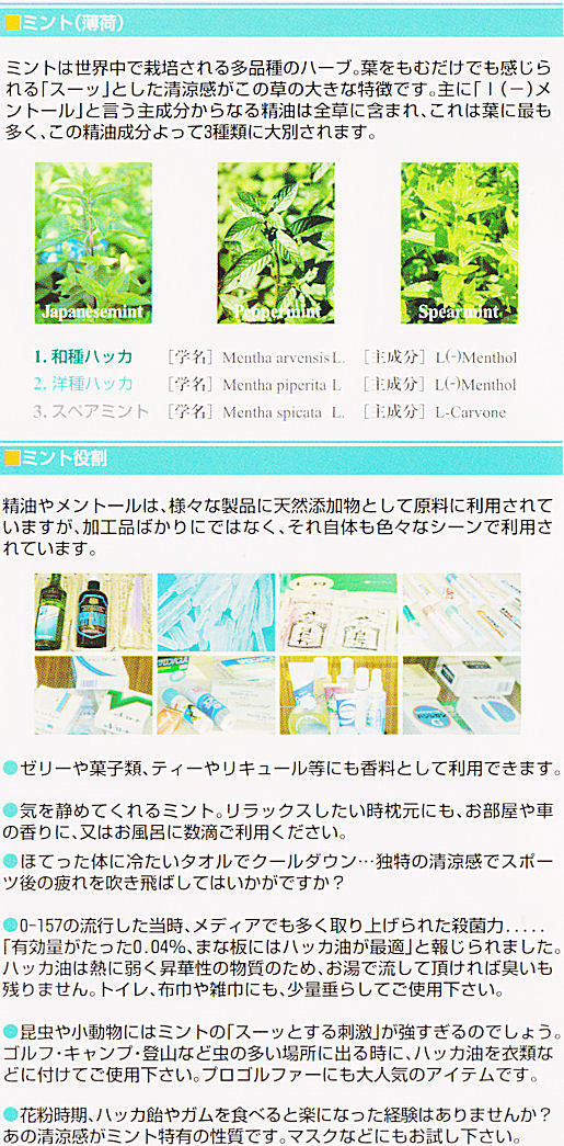 サボン・デ・メンタ｜スッキリなのに、しっとり！きめ細かな泡立ちとクレンジング力！｜株式会社北見ハッカ通商