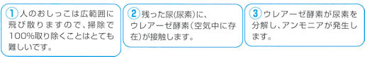 染み付いたオシッコのニオイを防ぐことで解決します！トイレの消臭・防臭剤の通信販売｜まずは５日間おためし下さい！キチンと掃除しているのに、なぜかニオう・・・原因は床や壁かもしれません。通常光ではキレイに見えても、特殊ライトを当てると飛び散り尿がこんなに！トイレの消臭・防臭剤の通信販売｜トイレの消臭と防臭が同時にできる！アンモニア抑制成分配合のトイレの消臭・防臭剤の通信販売｜