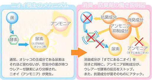 染み付いたオシッコのニオイを防ぐことで解決します！トイレの消臭・防臭剤の通信販売｜まずは５日間おためし下さい！キチンと掃除しているのに、なぜかニオう・・・原因は床や壁かもしれません。通常光ではキレイに見えても、特殊ライトを当てると飛び散り尿がこんなに！トイレの消臭・防臭剤の通信販売｜トイレの消臭と防臭が同時にできる！アンモニア抑制成分配合のトイレの消臭・防臭剤の通信販売｜
