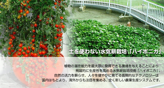 土を使わない水気耕栽培・水耕栽培「ハイポニカ」｜植物の潜在能力を発揮できる環境を与えることにより飛躍的に生産性を高める水気耕栽培技術「ハイポニカ」｜自然の活力を蘇らせ、人々を健やかに育てる画期的なテクノロジーは国内はもとより、海外からも注目を集める、全く新しい農業生産システムです。