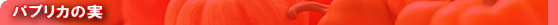 pvJ̎