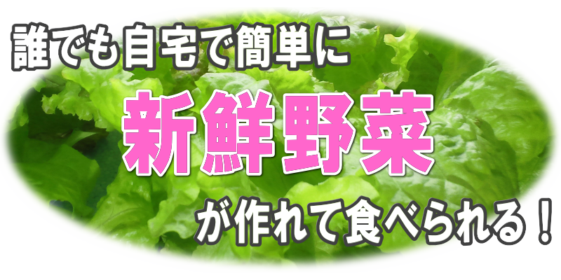 完全無農薬なので安心で安全な野菜がご家庭で簡単に作れます。天候不順・異常気象による価格高騰、産地偽装、輸入製品の農薬問題、昨今の野菜を取り巻く環境は厳しい状態です。あなたの食べている野菜は本当に安全ですか？どんな農薬を使って育てた野菜か知っていますか？何処からどのようにあなたの手元に届いたか知ってしますか？決して農家さんの作っている野菜が危険と言ってる訳ではありません。しかし少し考えてみましょう。最近では農家さんの減少、跡継ぎ不足などで安定した供給が難しくなるという説もあります。加えて今の地球の異常気象による生育不足による価格高騰、景気悪化による収入減少、そんな時に新鮮な野菜をいつでも安心に食べる事が出来る仕組みがご自宅にあれば、少しの安心が生まれるのでは無いでしょうか。これからは自給率を上げ、安全安心な野菜をご自宅で作り食べてみませんか？自宅で水耕栽培・ホームハイポニカ５０１の通信販売
