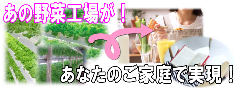 自宅で水耕栽培！ホームハイポニカ５０１ＳＥＴ（昇降式専用台・蛍光灯照明）を使用する事で室内でも新鮮な野菜を栽培する事が出来ます。水耕栽培は土を使わないので手が汚れません。室内で栽培する事により害虫などの心配が激減！毎日目が届く場所にあるので野菜の成長を見る楽しみ、育てる楽しみ、食べる楽しみがふくらみます。室内水耕栽培でサニーレタス、サラダ菜、チンゲン菜、プチトマト、ミズナ、しそ、ミニセロリ、サンチュなどが栽培できます。室内で水耕栽培！ホームハイポニカ５０１ＳＥＴの通信販売：テクノ株式会社