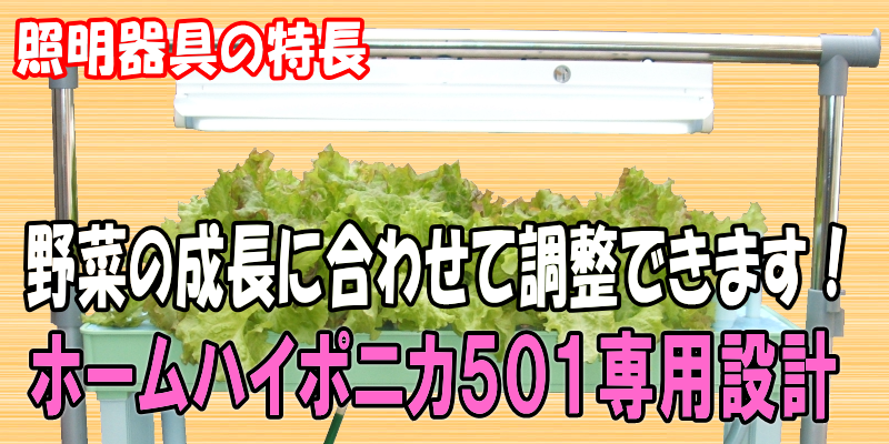 自宅で水耕栽培！ホームハイポニカ５０１ＳＥＴ（昇降式専用台・蛍光灯照明）を使用する事で室内でも新鮮な野菜を栽培する事が出来ます。水耕栽培は土を使わないので手が汚れません。室内で栽培する事により害虫などの心配が激減！毎日目が届く場所にあるので野菜の成長を見る楽しみ、育てる楽しみ、食べる楽しみがふくらみます。室内水耕栽培でサニーレタス、サラダ菜、チンゲン菜、プチトマト、ミズナ、しそ、ミニセロリ、サンチュなどが栽培できます。室内で水耕栽培！ホームハイポニカ５０１ＳＥＴの通信販売：テクノ株式会社
