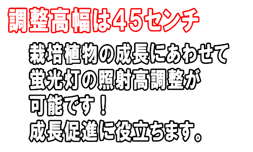 自宅で水耕栽培！ホームハイポニカ５０１ＳＥＴ（昇降式専用台・蛍光灯照明）を使用する事で室内でも新鮮な野菜を栽培する事が出来ます。水耕栽培は土を使わないので手が汚れません。室内で栽培する事により害虫などの心配が激減！毎日目が届く場所にあるので野菜の成長を見る楽しみ、育てる楽しみ、食べる楽しみがふくらみます。室内水耕栽培でサニーレタス、サラダ菜、チンゲン菜、プチトマト、ミズナ、しそ、ミニセロリ、サンチュなどが栽培できます。室内で水耕栽培！ホームハイポニカ５０１ＳＥＴの通信販売：テクノ株式会社