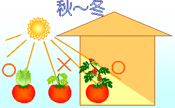 お家でプチ農園!ホームハイポニカの設置場所