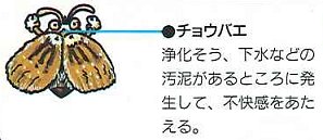 ＤＩＹ自分で出来るハエ、蚊駆除方法・ハエ、蚊退治方法【ハエ、蚊駆除・ハエ、蚊退治に使用する薬剤、エアゾール、成長抑制剤、忌避剤、捕獲器、機器などのご紹介！！！】