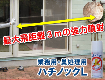 ハチノックＬは誰でも簡単に使用できるエアゾールタイプです。直線状に最大約３ｍ飛ぶ強力噴射で離れた所から安全に巣を駆除出来ます。薬剤は、ハチ類に対して著効のあるピレスロイド系を使用。薬剤に触れたハチはノックダウンします。人体に対して安全性の高いピレスロイドを配合安心して使えます。｜ハチノックＬ｜スズメバチの巣駆除用エアゾール｜スズメバチ駆除用エアゾール｜ハチ駆除用エアゾールのハチノックＬの通信販売