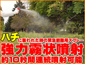 屋外活動でのスズメバチ対策に携帯用小型エアゾール！キャンプやハイキングなどの野外活動などに携帯して下さい！強力霧状噴射のスズメバチ駆除スプレー・業務用のハチ駆除用殺虫剤ハチノックSの通信販売：テクノ株式会社、ハチノックＳは携帯用の蜂駆除用スプレーです。（屋外専用）林野作業、遠足、ハイキング、野外活動、巣の駆除作業の必需品★抜群の殺虫効果でハチをノックダウン、ハチノックSの殺虫成分はピレスロイド系（d･d･T80プラレトリン）を使用しています。抜群の殺虫効果を発揮するので薬剤に触れたハチは数秒でノックダウンします。★強力広角噴射でハチを一網打尽、ハチノックSは霧状に広く強力に噴霧するので襲い掛かるハチを撃退するのに適しています。ハチによる不意の襲撃にはハチノックSがオススメです。山間部へお出かけの際にはハチノックSを携帯しましょう！★人体に高い安全性、ハチノックSは人体に安全性の高い成分ピレスロイドを配合していますので、安心して使用出来ます。ポケットなどに入れておいても誤噴射の無い押しボタンを採用、山間部などでのスズメバチ対策にお勧めです。ハチノックSはポケットにも楽々入るサイズ（直径３，６ｃｍ×高さ１４ｃｍ）屋外活動でのスズメバチ対策に携帯用小型エアゾール！キャンプやハイキングなどの野外活動などに携帯して下さい！強力霧状噴射のスズメバチ駆除スプレー・業務用のハチ駆除用殺虫剤ハチノックSの通信販売：テクノ株式会社