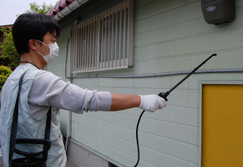 希釈タイプのカメムシ用殺虫剤：金鳥カメムシ用キンチョール乳剤の通信販売｜・家屋内に侵入したり、家屋の周囲（窓枠、網戸および外壁等）にいるカメムシ類の駆除と予防をします。・有効成分として、広範囲の害虫に有効で残効性にも優れ、しかも安全性の高いシラフルオフェンと速効性に優れたフェノトリンを使用した乳剤です。残留噴霧：水で１０〜２０倍に希釈し、カメムシの室内への侵入および一次潜み場所である窓枠を中心に、噴霧器を用いてサッシの窓枠と戸の周囲および戸と戸の重なり部分等の隙間に十分濡れる程度に噴霧塗布して下さい。また換気口や屋根窓への侵入路がある場合には、その場所にも十分噴霧塗布して下さい。目安は５０〜１００ｍｌ／�uです。直接噴霧：水で１０〜２０倍に希釈し、直接カメムシに噴霧して下さい。