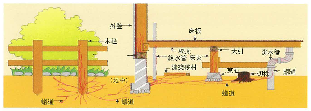 水性ドルガード液剤は防腐・防蟻（合成ピレスロイド）成分を含む木材保存剤です！木材の腐れ・家屋害虫（シロアリ、ヒラタキクイムシ等）に対して効果を発揮！業務用のシロアリ駆除殺虫剤、合成ピレスロイド系木部処理液剤・水性ドルガード液剤の販売、 土台、大引、根太、床束、柱、間柱、筋交いなどの土台、床組、軸組を効性する材と壁下地板（合板含む）（地面から高さ１ｍ以内）の防腐、防蟻！低VOCでホルムアルデヒド・クロルピリホスを使用していません！ビフェントリン、日本農薬株式会社