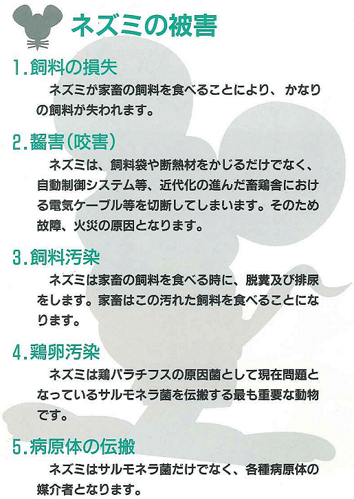 今までにない第二世代のクマリン系殺鼠剤！畜鶏舎周辺に出没するネズミを一蹴！（遅効性蓄積毒）ラニラットＦの通信販売｜有効成分であるブロマジオロンは、今までにない第二世代のクマリン系殺鼠剤です。従来のワルファリン抵抗性ネズミにも優れた効果を発揮します。従来のクマリン系殺鼠剤のように蓄積毒ではないため、１～２回の喫食で有効です。ネズミが好むエサを配合していますので、優れた喫食性が得られます。喫食後２～３日後から自然死のように死亡しはじめるため、ネズミに警戒心を与えることはありません。誤って食べることのないように、赤色の着色及びトウガラシ粉を配合しています。万が一、誤って飲み込んでも、ビタミンＫで解毒できます。※製品ラベルに記載の使用上の注意を守り、正しくご使用下さい。※ラニラットＦは動物用医薬部外品であり、畜鶏舎内及び周辺でのネズミ駆除目的となります。それ以外での場所では使用できませんのでご注意下さい。今までにない第二世代のクマリン系殺鼠剤！畜鶏舎周辺に出没するネズミを一蹴！（遅効性蓄積毒）ラニラットＦの通信販売