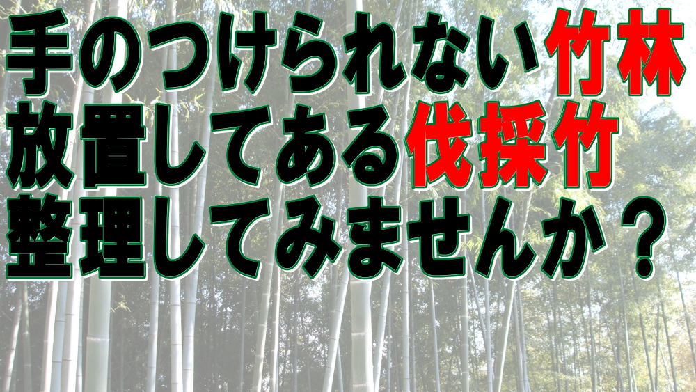 伐採竹・竹林などを微細なチップに粉砕処分！竹チップで再利用｜大阪、京都、滋賀、兵庫、奈良などの伐採竹・竹林・モウソウチクなどの処分、整理はお任せ下さい｜竹の処分に困った｜竹の有効利用｜エコスタイル｜再利用弊社では竹林、伐採竹の処理を行っております。１２０ｍｍまでの竹や木材などを小型木材チッパーを使用して一瞬にして細かなチップに致します。この小型木材チッパーはエンジン式の自走タイプですので竹林の奥まで進んでいき、その場で竹を細かなチップにする事が可能なので竹を運び出す手間が省けます。そのまま竹林に撒けば雑草などの繁殖を抑制し通路の確保が可能です。｜竹チップによる歩道や通路などの綺麗な仕上がり。細かなチップにする事により竹などでは１／１０以下のサイズまで小さくでき、処分や運搬なども容易に行えます。なお、この竹チップは通路などに撒く事により、水はけもよくなり足腰に優しい柔らかく綺麗な通路に変化します。バラスなどを撒いた場合と比べるととても優しく、エコロジーな仕上がりとなります。特に乾燥した竹チップはとても綺麗な色になり独特の風合いとなります。｜テクノ株式会社