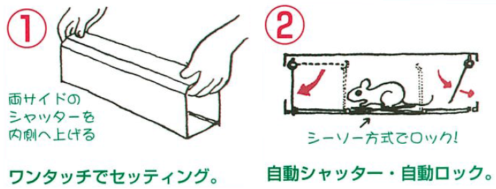 迷信を打破！ネズミの臭いがつけばつくほどよく捕れる！本格的ネズミ捕り器！置くだけでネズミの被害激減！気味悪いほど捕れると大好評です！チュートルマンの通信販売：テクノ株式会社、チュートルマンの特徴はセットはワンタッチ！両側の扉を内側におし上げるだけ。ネズミを見かけた場所や、糞の落ちている壁際の通路に置くだけ。トンネル方式だから気味が悪いほど捕れる！家具などの裏側を好んで通る習性を応用。酪農家、精米所などから数百匹以上捕れた。という報告が多数あります。スピード清潔処理！最後までネズミの姿を見ずに処理できる。ダニ、ノミも同時に封じ込めます。他のネズミに見破られない構造！捕ったネズミは鳴くと外敵に見つかると思い鳴きません。エサなし、薬剤なし捕獲！中へ入ると体重でシーソーが下がり、両扉が閉じます。半永久的に使用できます！本格的ネズミ捕り器チュートルマン出現！！迷信を打破！ネズミの臭いがつけばつくほどよく捕れる！！臭いについての迷信（本当は反対だった）ネズミ捕獲器にネズミの臭いが付けば、ネズミが警戒してしまうから捕れない。と思われてい方は大変多いですが、ネズミは普通数匹以上の集団生活をしています。ですからネズミの巣、通路など行動している場所は、ネズミの臭いばかりです。臭いの付いている一定の通路ばかり通っている事は同一場所に糞が多く落ちている事からもお分かりだと思います。捕獲器にネズミの臭いが付けば付くほどよく捕れます。【従来品を一度使うと捕れにくくなる原因】ネズミは捕まった時、外部が見通せる状態ですと、必ず仲間に救護の鳴声を出します。その結果、他の捕まっていないネズミはネズミ捕り器を見ると危険物と思ってしまい、警戒してしまいます。だから、一度使った後は捕りにくいわけです。【ネズミがおよぼす被害】コンバインなどの農業機械の損傷、衣類・ふとんなどを喰いあらす。屋根裏の配線をかじり、漏電から火災を起こす。ダニ・ノミの運び屋で不衛生このうえない。迷信を打破！ネズミの臭いがつけばつくほどよく捕れる！本格的ネズミ捕り器！置くだけでネズミの被害激減！気味悪いほど捕れると大好評です！チュートルマンの通信販売：テクノ株式会社