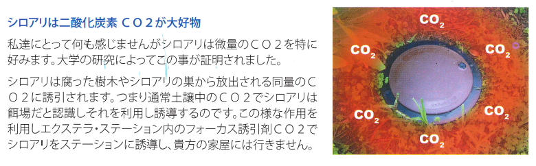 シロアリベイト工法は薬をほとんど使わない最も斬新な確信技術で人と環境に優しいシロアリ防除工法、シロアリの巣をまるごと退治！薬剤の絶対量が少ない！建物に直接薬剤を処理しない！エクステラステーション、毒餌ベイト剤レクイエム、餌木インターセプター、ステーションAGSの通信販売：テクノ株式会社製品名：エクステラステーションセット、内容量：ベイトケース１５個、餌木９０枚、専用キー、有効範囲：外周４５ｍ程度（３０～４０坪、販売元：エンシステックス・ジャパン有限会社、ベイト工法は薬をほとんど使わない最も斬新な革新技術で人と環境に優しいシロアリ防除工法、維持管理型ベイト工法は建物を長期的に維持管理する為にベイト工法を高度にシステム化しました。シロアリは加害している建物だけでなく建物周辺のテリトリーの中で地中に「蟻道」というトンネルの道を造って盛んに餌を探し回っています。そこで建物周辺の地面にシロアリが好む餌を入れた容器を埋めておくと餌を探しているシロアリがその容器にたどり着き容器の中の餌を食べ始めます。この時に殺蟻剤（レクイエム）を混入したシロアリが好む餌を投与すると、シロアリはその餌を食べ始め、シロアリは巣ごと全滅します。全滅した後もシロアリの集団の新たな侵入に備えて殺蟻剤を混入しない餌を仕掛けて監視します。エクステラステーションセットについて。エクステラステーションセットには本体１５個、餌木９０枚、本体のフタを開ける専用キーが付属します。エクステラステ－ション１個につき餌木（インターセプター）６枚が入ります。エクステラステーションセットにはベイト剤（レクイエム）は付属致しません。エクステラステーションを埋設する際の穴径はφ１００～１１０ｍｍ、深さ３００ｍｍ必要です。埋設間隔は建物から５０ｃｍ（最大３ｍまで）、ステーションの間隔は３ｍ（最大５ｍまで）となります。ベイト剤（レクイエム）について。ベイト剤（レクイエム）は粉剤で２ｋｇ入りとなります。水と混ぜて使用致します。標準混合比率はレクシエム５００ｃｃ（約１１０ｇ）に対して水５００～６００ｃｃとなります。日本に多く生息するヤマトシロアリ、イエシロアリなどはは水が無いと生きていきません。（アメリカカンザイなどは除く）レクイエムは水と調合して使用するので水を必要とするシロアリの食いつきが良くしっかり駆除出来ます。自分で出来るシロアリ駆除の決定版ともいえるベイト工法エクステラをお試し下さい。ステーションにシロアリがついた場合に使用して下さい。家屋内のシロアリにも直接使用して下さい。シロアリセンサーにシロアリが付いた場合にも使用出来ます。餌木（インターセプター）について。餌木（インターセプター）は１年に一度の交換をオススメ致します。別途販売の交換用の餌木（インターセプター）は１箱は３００枚入りとなります。シロアリベイト工法は薬をほとんど使わない最も斬新な確信技術で人と環境に優しいシロアリ防除工法、シロアリの巣をまるごと退治！薬剤の絶対量が少ない！建物に直接薬剤を処理しない！エクステラステーション、毒餌ベイト剤レクイエム、餌木インターセプター、ステーションAGSの通信販売：テクノ株式会社