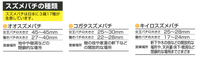 オオスズメバチ、コガタスズメバチ、キイロスズメバチ、アシナガバチ、ハエ、ガ、コガネムシを強力誘引して捕まえる！業務用の特大容器でスズメバチを大量捕獲！業務用スズメバチ誘引捕獲器の通信販売：テクノ株式会社、製品名：業務用スズメバチ誘引捕獲器、内容量：捕獲ボトル、吊り下げ用フック、誘引液、ボトルサイズ：φ９０×高さ２３０ｍｍ、重量：３００ｇ、製造元：株式会社SHIADA、施工が簡単！庭木などに吊るすだけです。強力な誘引液でスズメバチなどを強力誘引捕獲！殺虫成分０！食品成分です。一度入ったら出にくい特殊キャップで入ったスズメバチ等を逃がしません。業務用サイズでスズメバチ等を大量に捕獲します！入ったスズメバチを溺れさせて退治します！薬剤不使用！スズメバチ用誘引捕獲器、スズメバチ駆除！春先から飛び回る女王蜂をキャッチ！巣作りを未然に防いで働き蜂の増加をより効果的に防ぎます。カンタン吊るすだけ！巣作り防止に効果大！誘引、ハチの好む香りで強力に誘引します。捕獲、一度入ると出にくい特殊構造と特大容器で大量捕獲できます。退治、容器内の誘引液に溺れて退治！薬剤不使用。発行がすすむに従い、ハエ、ガ捕獲！その後にスズメバチが入り始めます。大量捕獲！オオスズメバチ、コガタスズメバチ、キイロスズメバチ、１２～３月に新女王バチだけが土中や朽ち木などで冬眠に入ります。４～６月に女王蜂が冬眠から目覚める。女王蜂が一匹で巣作りを始めます。最初の働き蜂は６月頃に誕生する。７～９月働き蜂が繁殖期を迎え数百匹に増える。巣が大きくなります。１０～１１月新女王がが生まれる。雄蜂が出現１０月頃交尾、新女王バチが越冬の準備に入る。その他の蜂は全て死に絶えます。オオスズメバチ、コガタスズメバチ、キイロスズメバチ、アシナガバチ、ハエ、ガ、コガネムシを強力誘引して捕まえる！業務用の特大容器でスズメバチを大量捕獲！業務用スズメバチ誘引捕獲器の通信販売：テクノ株式会社