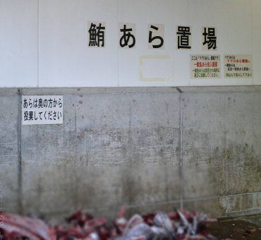 各種悪臭物質に対する脱臭と同時に、腐敗の原因菌に強い除菌効果・水産加工場、魚市場のアミン臭対策・悪臭対策ムシュウゲンLR-Zの通信販売：テクノ株式会社、製品名：ムシュウゲンLR-Z、容量：１８Ｌ、性状：液体、対象臭気：アミン類