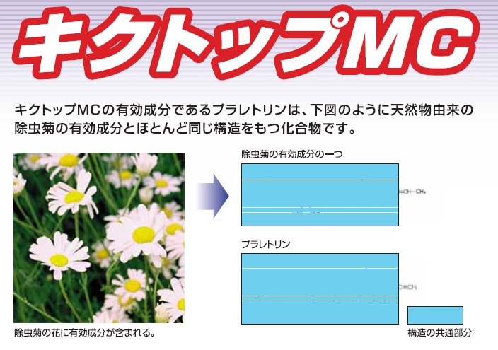 環境にやさしく、人にやさしく。天然由来の除虫菊の有効成分とほぼ同じ構造を持つ化合物・木部処理剤キクトップMCの業務販売：テクノ株式会社、キクトップMCの有効成分であるプラレトリンは天然由来の除虫菊の有効成分とほとんど同じ構造をもつ化合物です。環境にやさしく、天然物由来の除虫菊の有効成分とほぼ同じ構造を持つ化合物で炭素、酸素、水素の３元素のみで構成されているやさしい薬剤です。人にやさしく、MC剤とは、MC（マイクロカプセル）の膜で有効成分を覆っているため、気中に揮散することがなく臭気もありません。環境にやさしく、人にやさしく。天然由来の除虫菊の有効成分とほぼ同じ構造を持つ化合物・木部処理剤キクトップMCの業務販売：テクノ株式会社