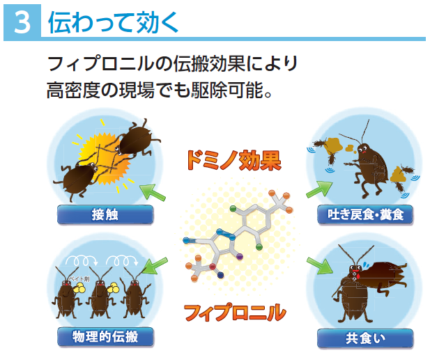 ピレスロイドや有機リン抵抗性のチャバネゴキブリだけでなくクロゴキブリ、ワモンゴキブリにも効果的！速効成分フィプロニルを配合した液剤散布に代わる高性能ゴキブリ駆除用ベイトジェル（防除用医薬部外品）マックスフォースマグナムの通信販売：テクノ株式会社、巣ごと一網打尽！ベイト剤でシンプル＆クリーン施工！フィプロニルの高い駆除効果！ベイトジェル＋ベイトステーションならではのシンプル＆クリーン施工、マックスフォース マグナムは、液剤散布のような施工の際の養生が不要であり、薬剤臭の心配がないため、時間帯を選ばないクリーンな施工が可能です。液剤散布と違い、必要なところにベイトステーション（誤食防止容器）を設置するだけ。ベイトステーションに入れて使うので安全性が高く、ベイトジェルが食べつくされていたら追加注入が可能。ベイトジェルが残った場合でも、ゴキブリ生息密度の高い場所に移動させることで無駄なく使い切れて、容易に回収できます。マックスフォースマグナムは食べて効く！高い喫食性。一口で十分な致死量。ゴキブリが好む餌成分と水分を多く配合したバイエル独自のアクアジェル処方。たった一口で致死量の150倍以上の薬剤を食べる！チャバネゴキブリ、クロゴキブリ、ワモンゴキブリ。マックスフォースマグナムは触れて効く！高い接触致死効果！マックスフォースマグナムに触れただけで死んだゴキブリ。マックスフォースマグナムは伝わって効く！フィプロニルの伝搬効果により高密度の現場でも駆除可能！ドミノ効果、フィプロニル。マックスフォースマグナムは効果長持ち！安定した喫食性が維持できる製剤で新たに侵入してきたゴキブリも駆除。•誤食防止容器1個に対して、本品を誤食防止容器の上部の薬剤注入口から薬量目安線（約0.4g）まで注入し、注入された容器をゴキブリの生息場所や出没する場所（例えば飲食店調理場、台所、食品加工工場等）に1m2あたり1個の割合で配置してください。マックスフォースマグナムは誤食防止容器に入れて使用するゴキブリ駆除用ベイトジェルです。速効性の殺虫成分フィプロニルを配合し小型のゴキブリ（飲食店などの店舗に多いチャバネゴキブリ）や大型のゴキブリ（一般家庭や外部侵入の多いクロゴキブリ、ワモンゴキブリ）などを誘引し駆除します。まずは容器を切り取り線に沿って折り、切り離してください。（容器本体が割れないように注意して切り離してください。）先端部分（上記１）を折り付属の注入チップをねじ込みプランジャーをセットして下さい。この際にプランジャーを押し過ぎると先端から薬剤が出ますので注意して下さい。使用後は注入チップを外し、付属のキャップでフタをして下さい。外した注入チップは内部まできれいに清掃して下さい。（清掃を怠ると薬剤が固まり使えなくなる事があります。）誤食防止容器上部の穴にシリンジの注入チップの先端を置くまで差込み、プランジャーを押して容器の円形マークに沿うよう所定の容量（約０，４ｇ）を注入して下さい。誤食防止容器は繰り返し使用が可能です。使用中に容器の薬剤が食べ尽くされていたら薬剤を追加注入して下さい。薬剤が注入された容器はゴキブリの生息場所や出没する場所（例えば飲食店の調理場、台所、食品加工工場）に１平方メートル当たり１個の割合で設置して下さい。注１：容器の設置場所やその周辺にはゴキブリに対して忌避性の高い液剤やスプレー等をかけないで下さい。注２：使用途中のシリンジの場合、まれにシリンジ先端部分に残った製品が固化している場合があります。この際は針金等で固化しているものを除いてご使用ください。ピレスロイドや有機リン抵抗性のチャバネゴキブリだけでなくクロゴキブリ、ワモンゴキブリにも効果的！速効成分フィプロニルを配合した液剤散布に代わる高性能ゴキブリ駆除用ベイトジェル（防除用医薬部外品）マックスフォースマグナムの通信販売：テクノ株式会社