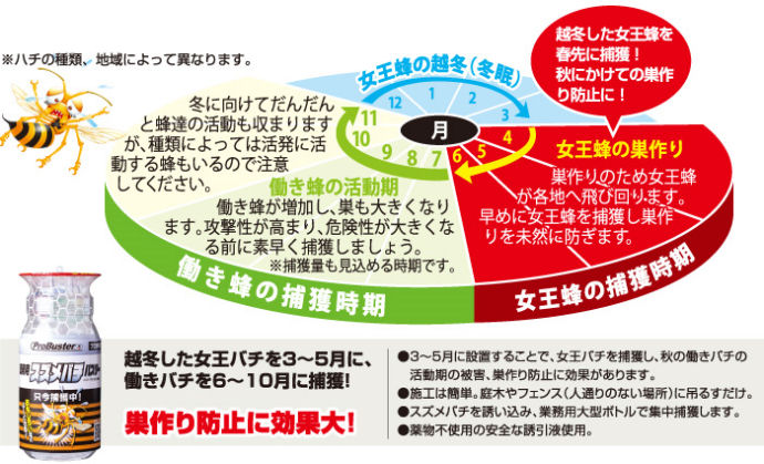 吊るすだけ！約３０日間スズメバチを捕獲・撃退スズメバチの巣作り防止に効果大!スズメバチを誘引捕獲業務用スズメバチバスターBIGの通信販売：テクノ株式会社製品名：業務用スズメバチバスターBIGセット内容：捕獲ボトル、吊下げ用フック、誘引液（200cc）、取説サイズ：直径９５×高さ２１０ｍｍ重量：約３２０ｇ用途：スズメバチの誘引・捕獲販売元：株式会社SHIMADA設置が簡単！庭木などに吊るすだけ。強力な誘引液（食品成分）一度入ったら出にくい特殊キャップ業務用サイズで大量捕獲入ったハチを溺れさせて退治(薬剤不使用) 吊るすだけで約30日間スズメバチを捕獲撃退！巣作り防止に効果大！誘引ハチの好む香りで強力に誘引！捕獲一度入ると出にくい特殊構造と特大容器で大量捕獲！退治容器内の誘引液におぼれて退治！薬剤不使用！スズメバチ大量捕獲なるべく直射日光の当たらないところ地面から1～3mくらいのところハチを見かける屋外（巣の近く及び住居区域は避ける）最近ハチを見かけた場所巣を駆除するものではありません。巣周辺での設置は大変危険ですのでおやめください。柵に固定、庭木や雑木林に固定、畑の付近に吊るす、オオスズメバチの巣は地中や樹洞などの閉鎖的な場所。コガタスズメバチの巣は樹の枝や家屋の軒下などの開放的な場所、、キイロスズメバチの巣は軒下や木の枝などの開放的な場所や天井裏、床下、樹洞など閉鎖的な場所までさまざま。12月から3月は新女王バチだけが土中や朽木などで冬眠に入る。4月から6月は女王バチが冬眠から目覚め、女王バチが一匹で巣を作り始める。最初の働きバチは6月頃に誕生する。早期駆除が必要！巣作り防止の効果大！7月～9月は働きバチが繁殖期を迎え数百匹に増える。巣が大きくなります。危険度最大！この時期が最も刺されやすい。10月から11月は新女王が生まれ雄蜂が出現、10月頃交尾。新女王バチが越冬の準備に入る。その他のハチは全て死に絶える。巣は空になり二度と使われない。吊るすだけ！約３０日間スズメバチを捕獲・撃退スズメバチの巣作り防止に効果大!スズメバチを誘引捕獲業務用スズメバチバスターBIGの通信販売：テクノ株式会社